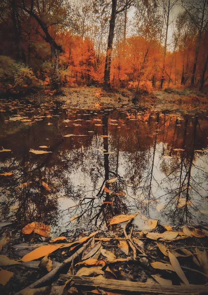 Photograph by Олег Догонов