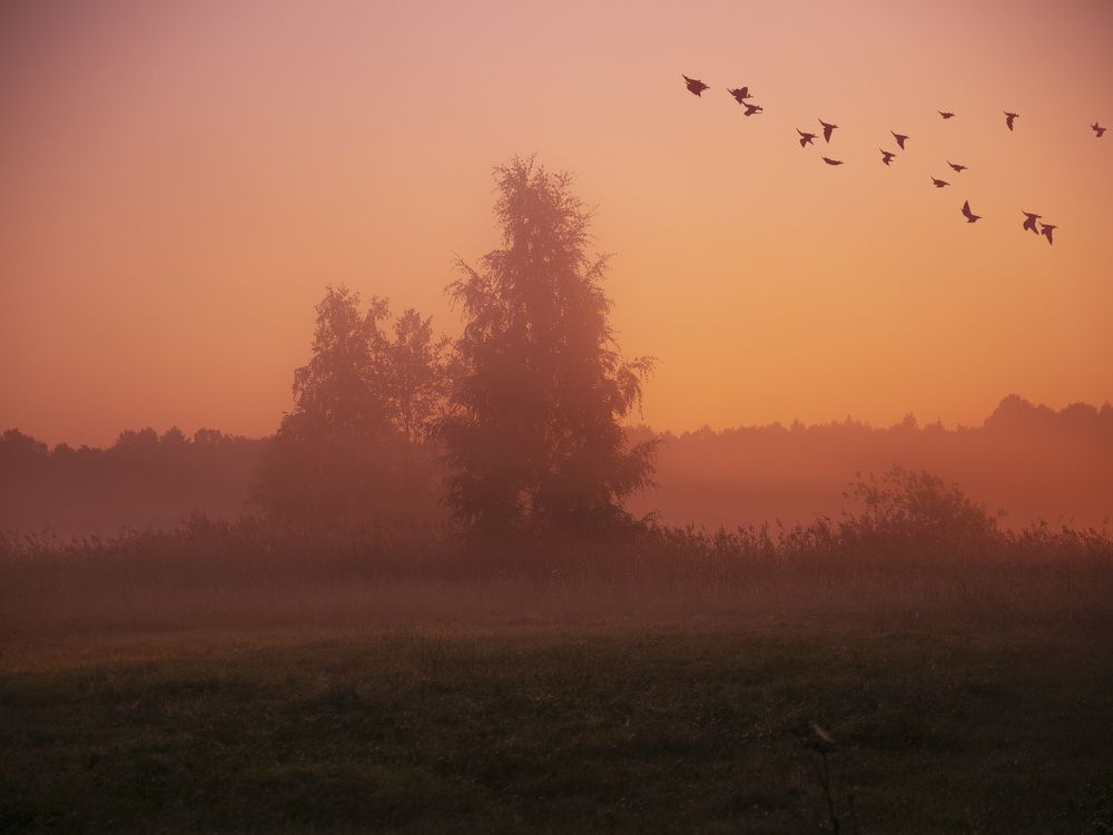 Photograph by Liudmila Drake