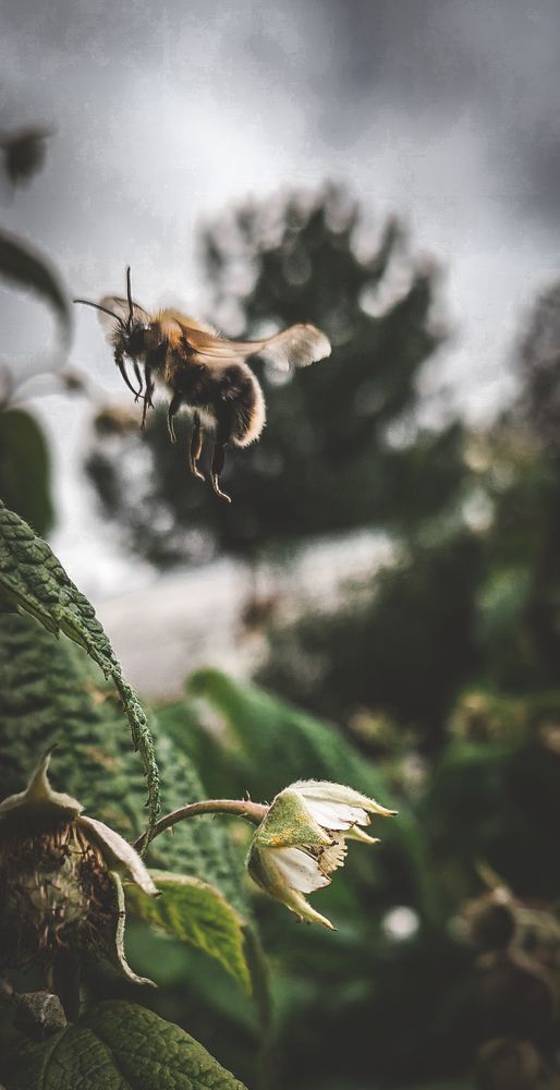 Photograph by Ксения Супрун