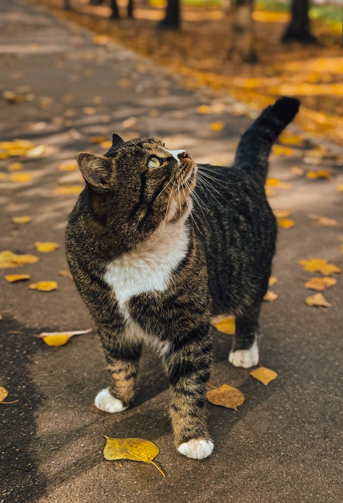 Photograph by Oxana Petlina