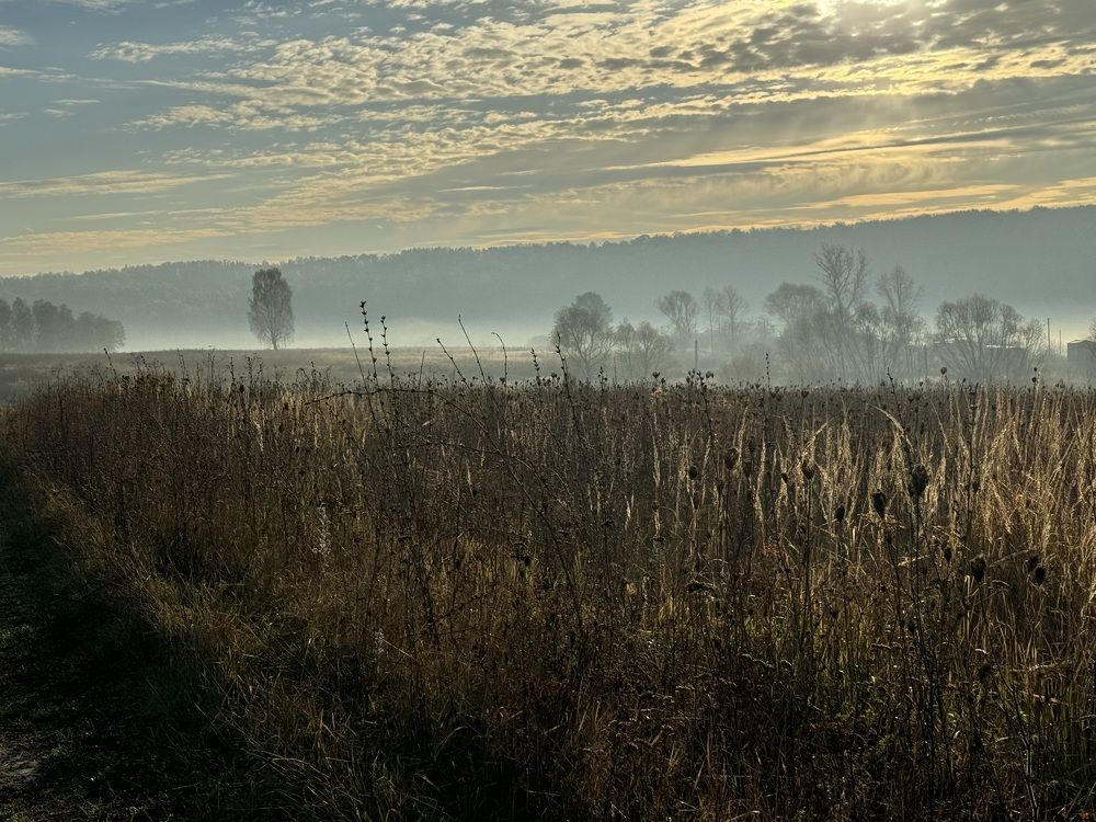 Photograph by Марина Сальникова