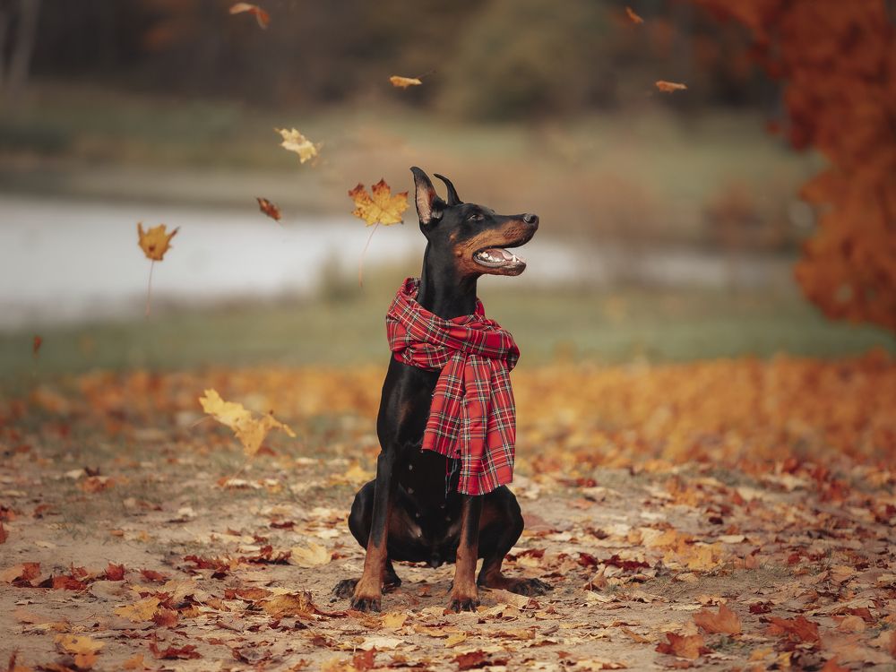 Photograph by Мария Клещенко