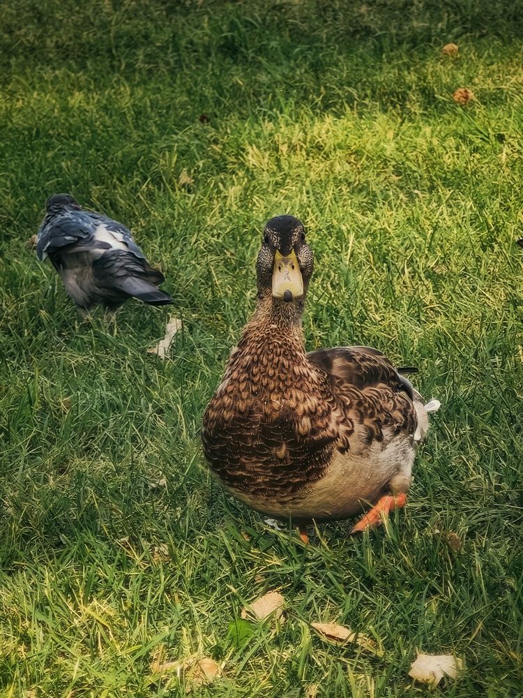 Photograph by Татьяна Соколовская