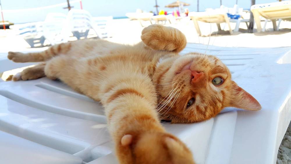 Photograph by Сергей Вальков