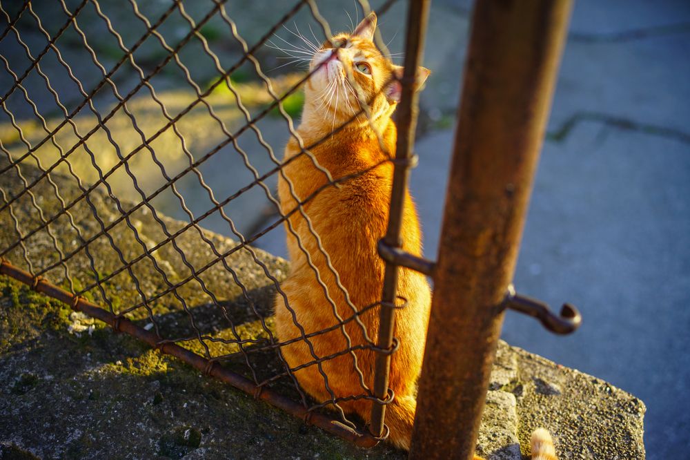 Photograph by Oleg Kozachok