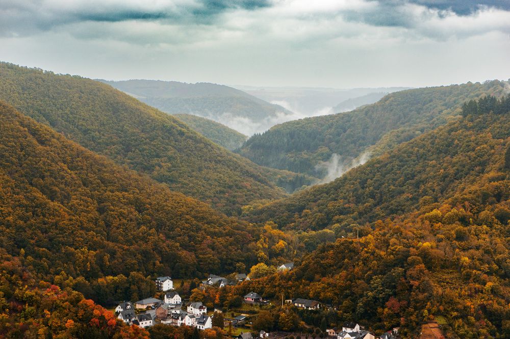 Photograph by Irina Tischer