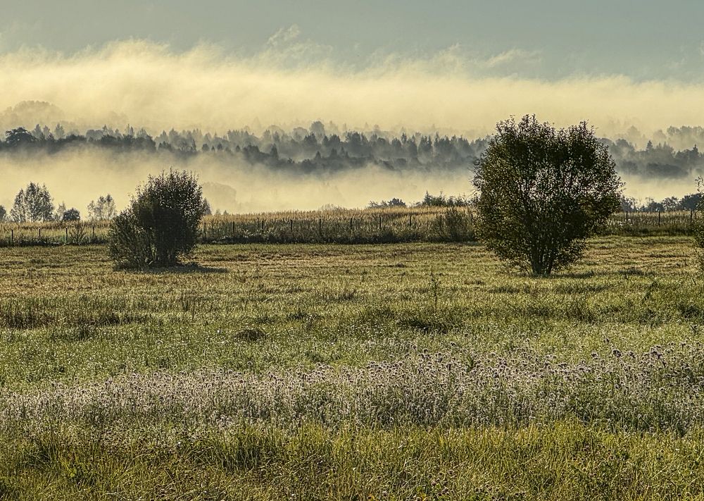 Photograph by Владимир Баулин