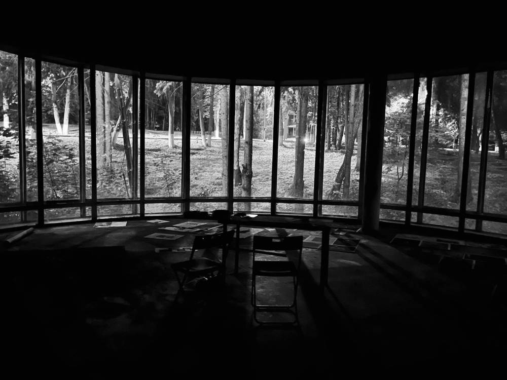 Photograph by Светлана Родионова