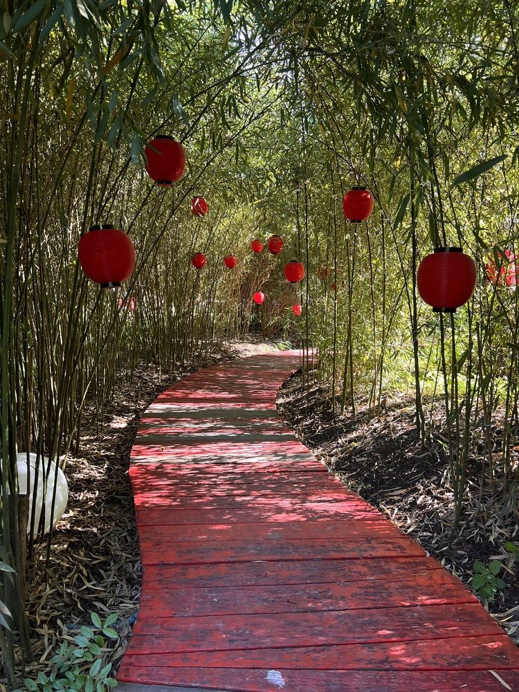 Photograph by Анастасия Куэлляр