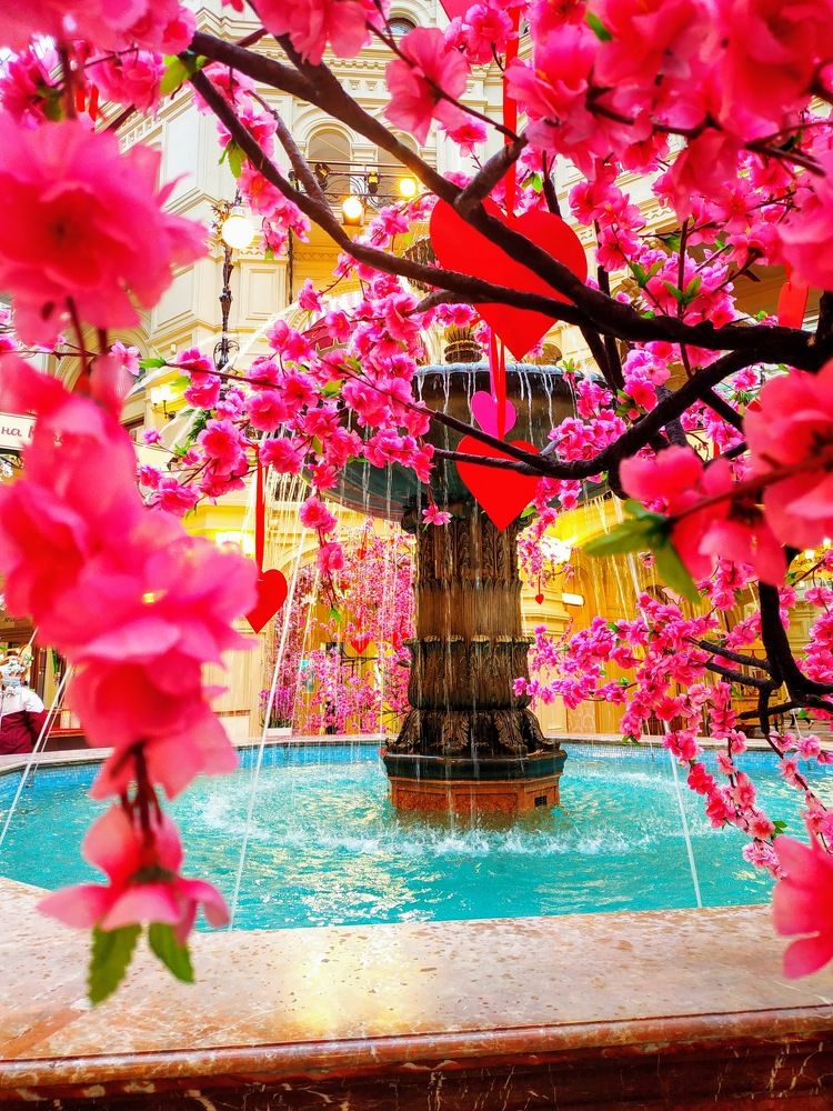 Photograph by Анна