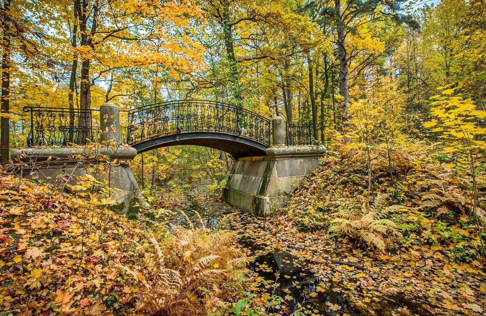 Photograph by Смирнов Валерий