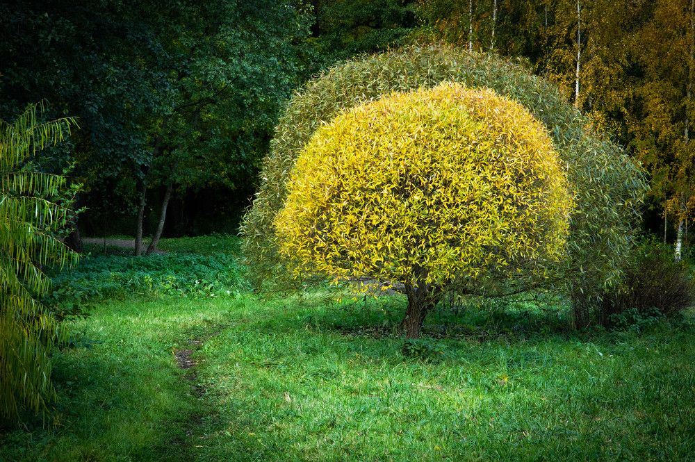 Photograph by Сергей Вальков