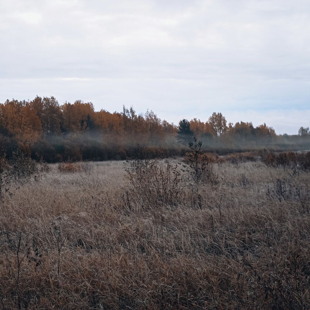 Photograph by Дарья Эглите