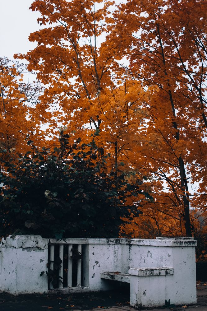 Photograph by Дарья Эглите