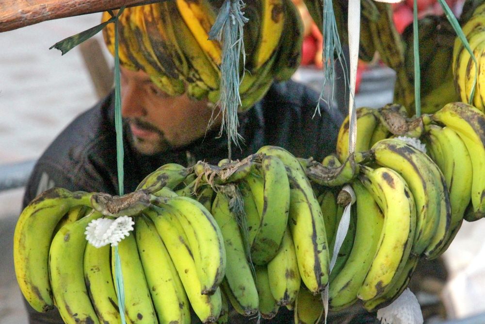 Photograph by Лада Денисова