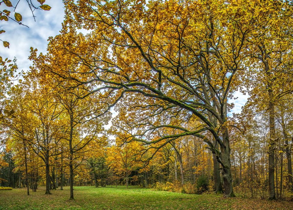 Photograph by Смирнов Валерий