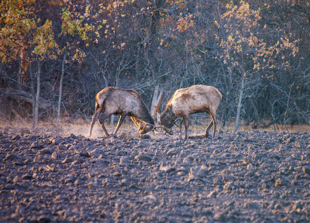 Photograph by Ткачёв Владимир
