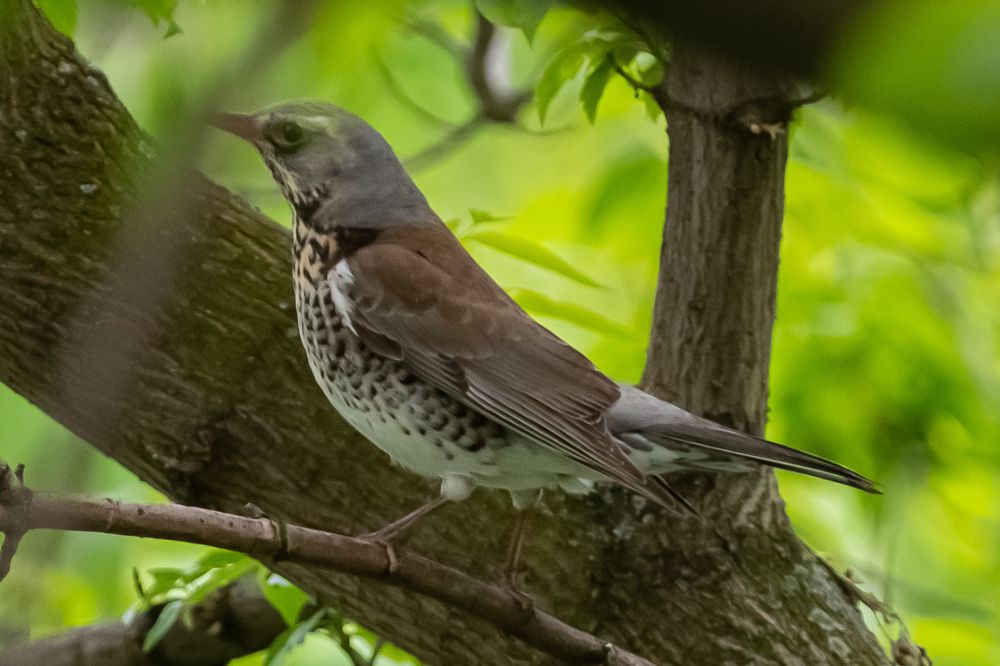 Photograph by Алексей Бирин