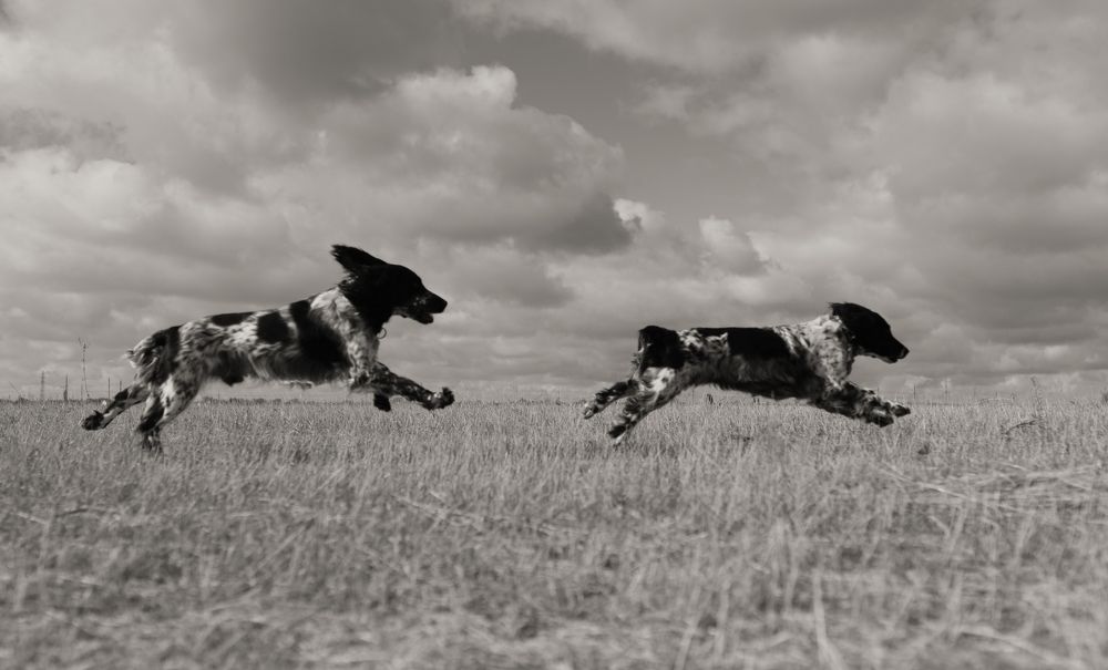 Фотография автора Максим Беднев