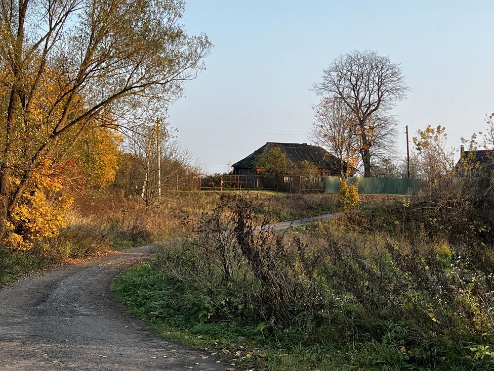 Фотография автора Мария Дмитриева