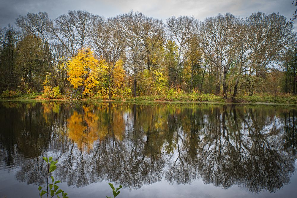 Photograph by Эдуард Шадров