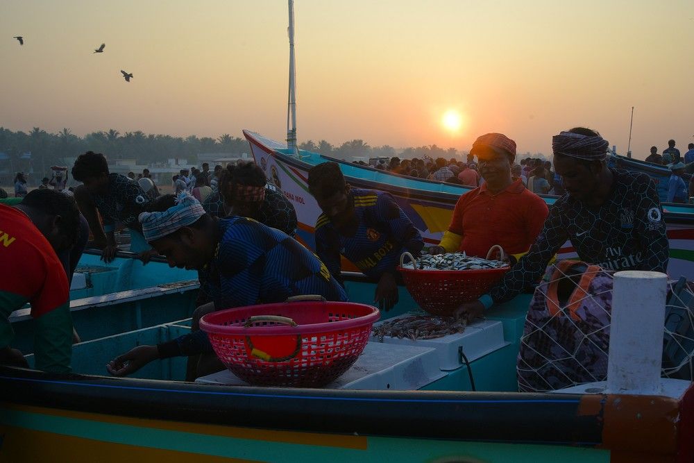 Фотография автора Юлия Захарова