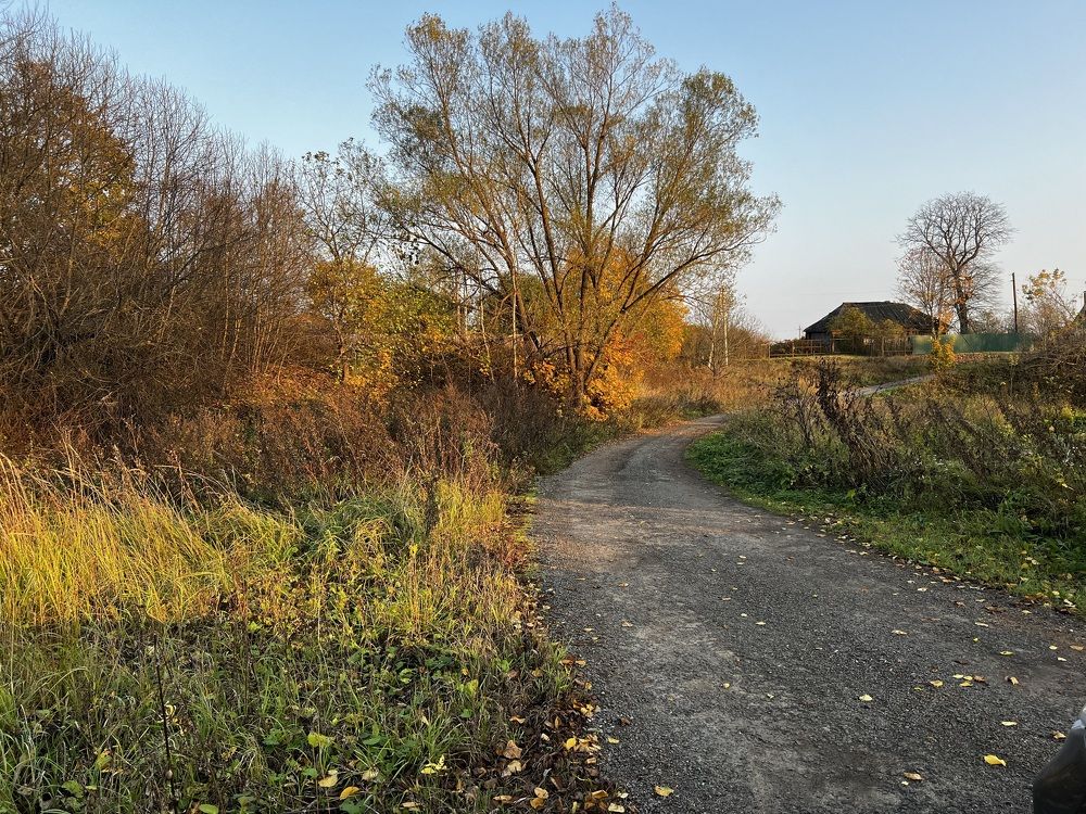 Фотография автора Мария Дмитриева