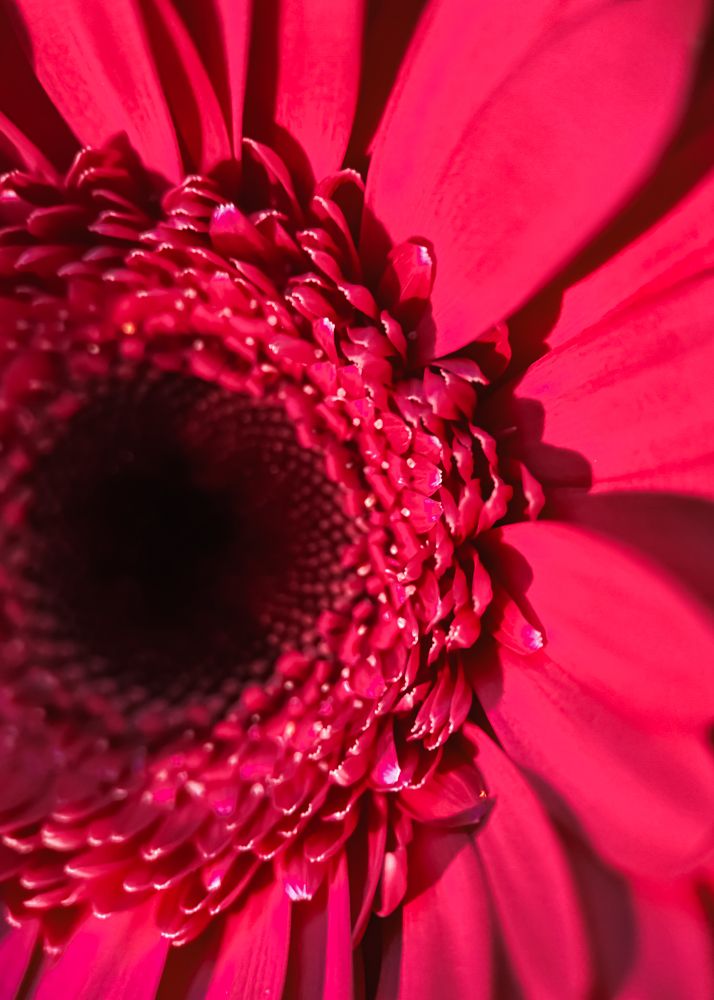 Photograph by Oxana Petlina