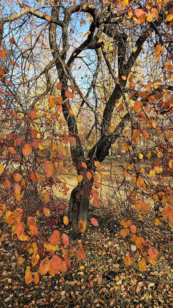 Photograph by Игорь Семеновский