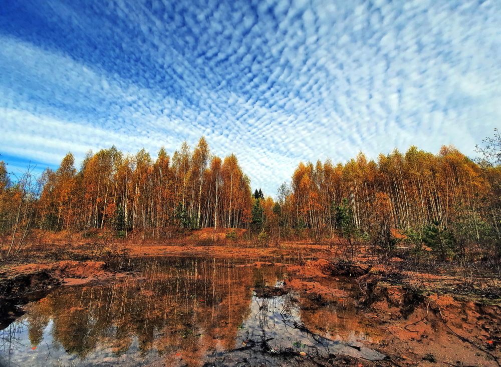Photograph by 
