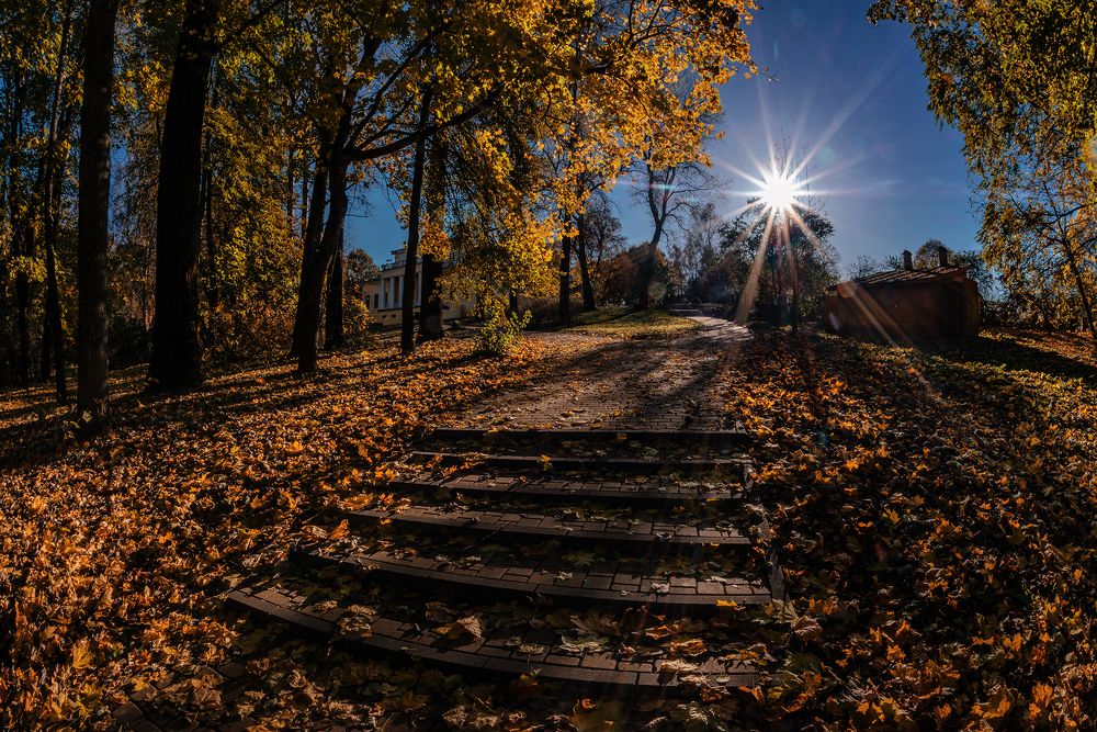 Парковая осень