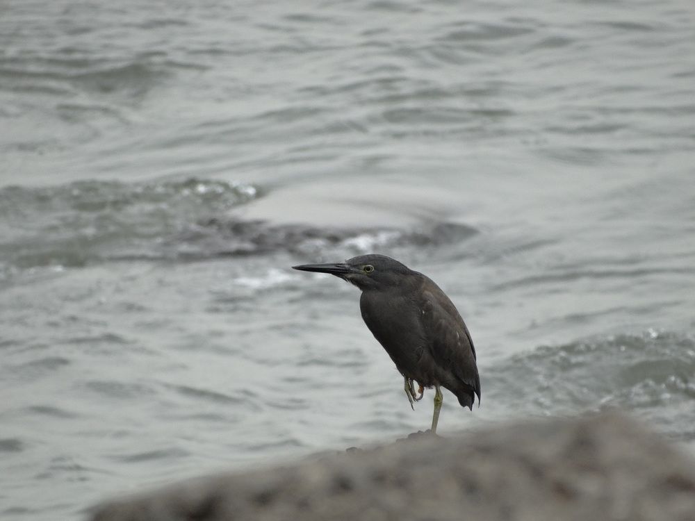 Photograph by Виктор Бута