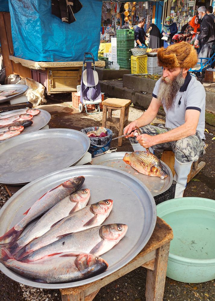 Photograph by Mina Mamdouhi