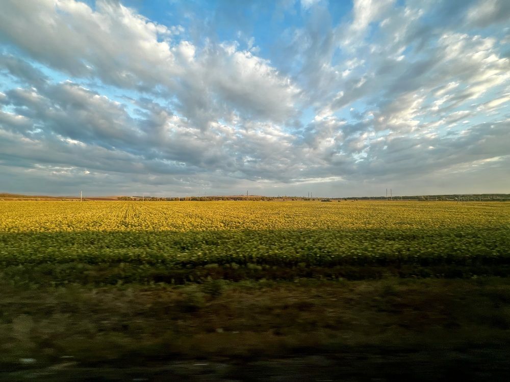 Фотография автора Мария Дмитриева