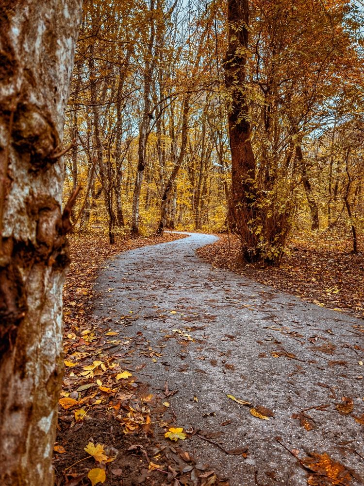 Фотография автора Олег Васильев