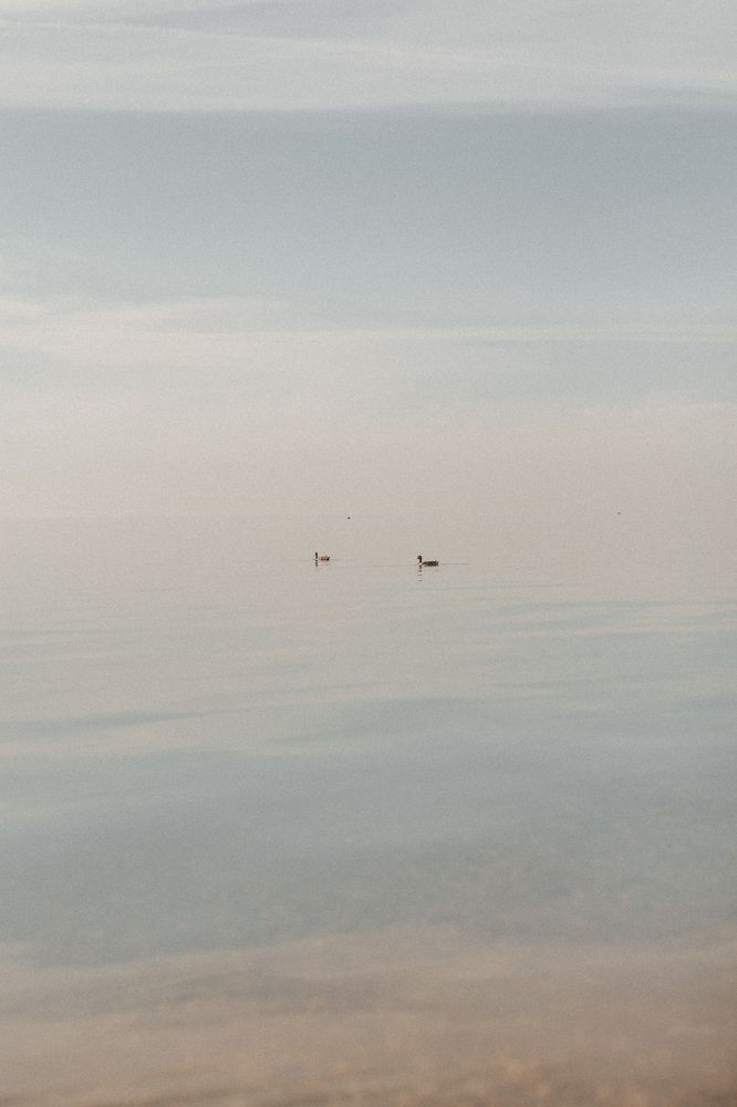 Photograph by Алина Бондарь