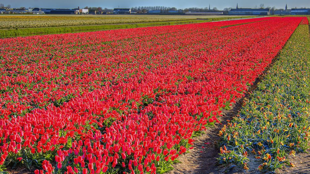 Photograph by Сергей Малеев