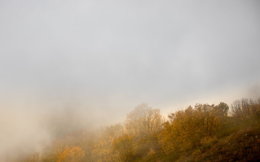 Photograph by Юлия Шурандина