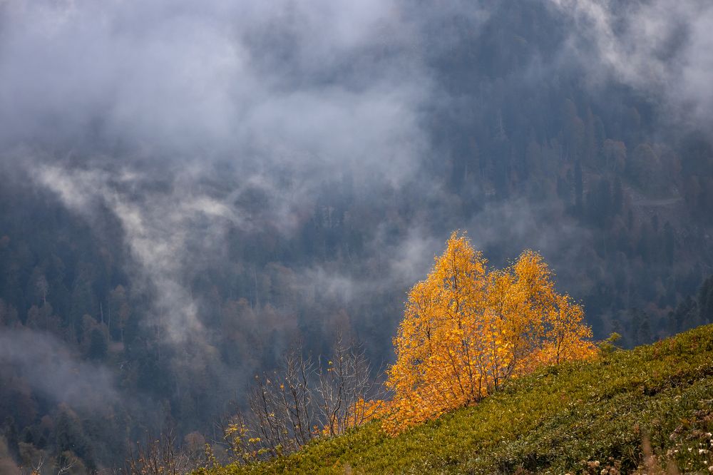 Photograph by Юлия Шурандина