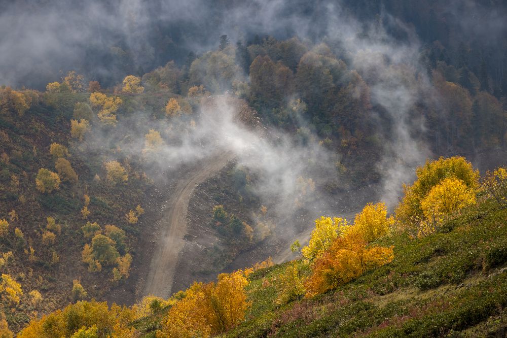 Photograph by Юлия Шурандина