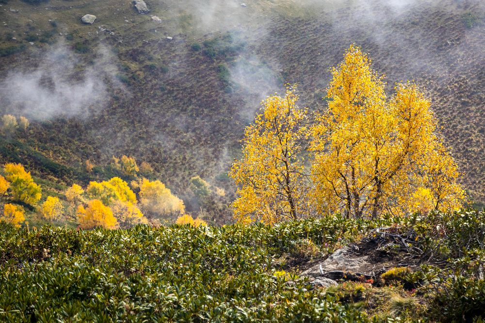 Photograph by Юлия Шурандина