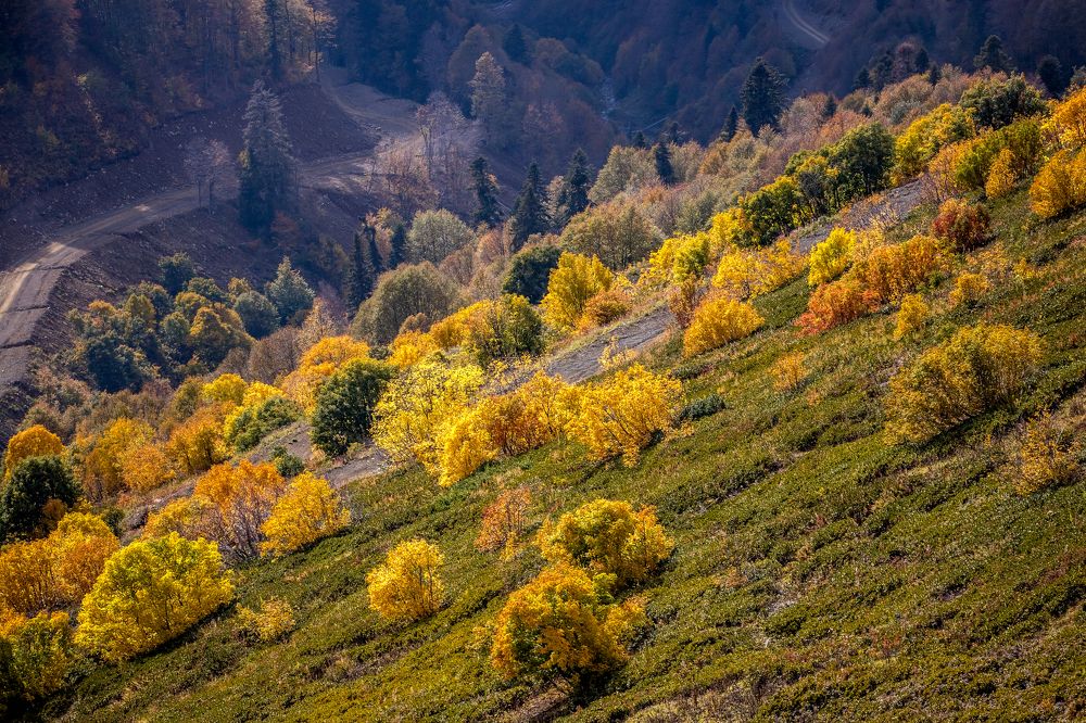 Photograph by Юлия Шурандина