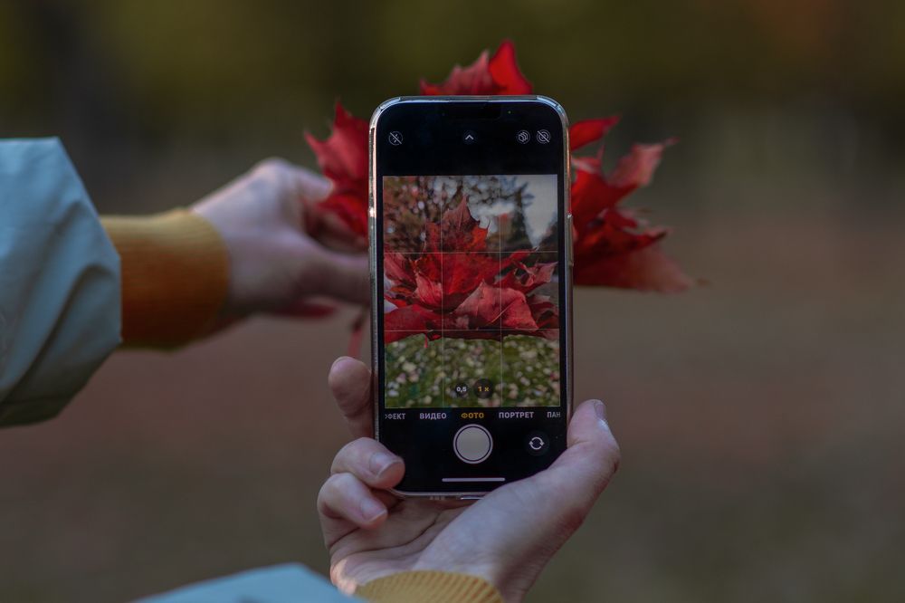 Photograph by Людмила Подольская