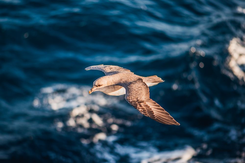 Photograph by Ермолин Александр