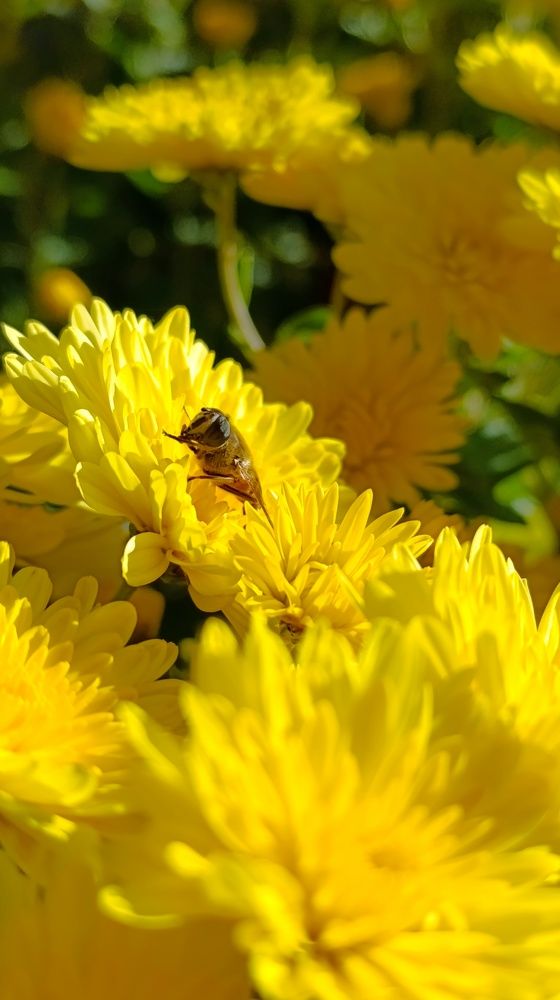 Photograph by Ирина Иванова