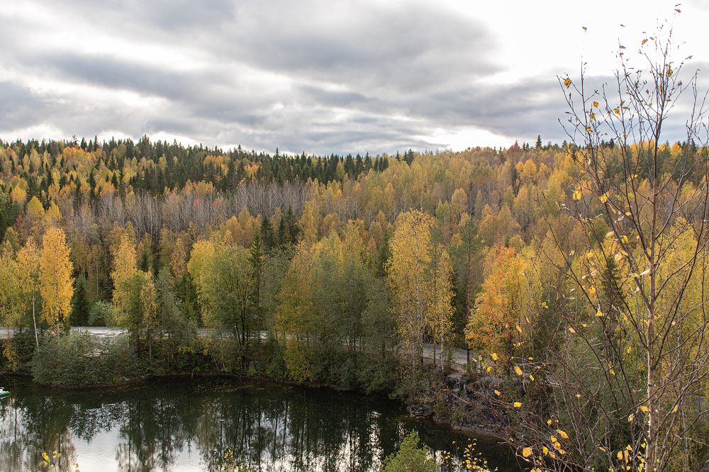 Фотография автора Светлана Дроголюбова
