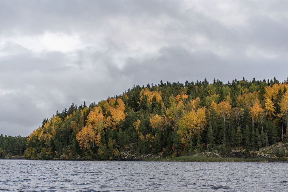 Фотография автора Светлана Дроголюбова