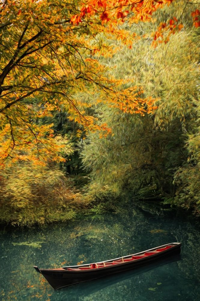 Photograph by Elena Gebert