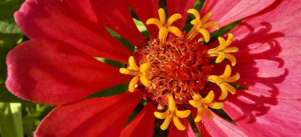 Photograph by Ирина Архипова