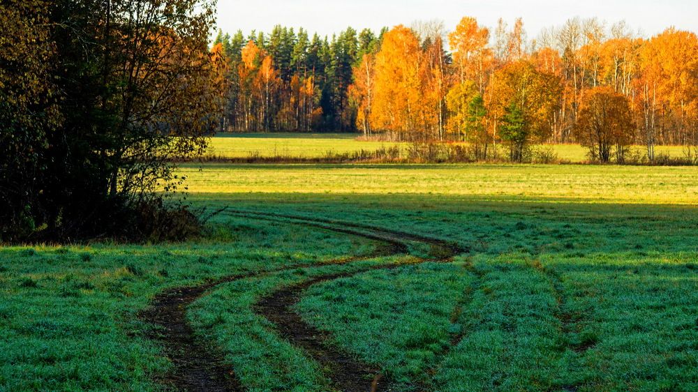 Photograph by Андрей Панин